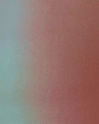 Chameleon