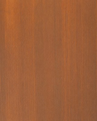 Rust-Pattern Rust-Pattern