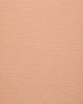 Brushed Finish Brushed Finish