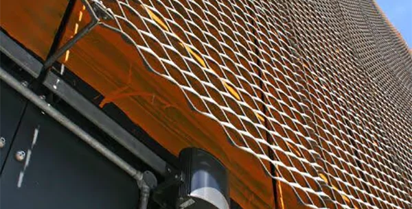 Mesh